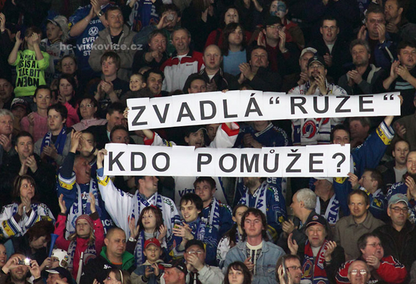 Zvadlá růže